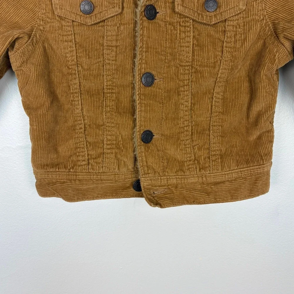 GAP baby brown